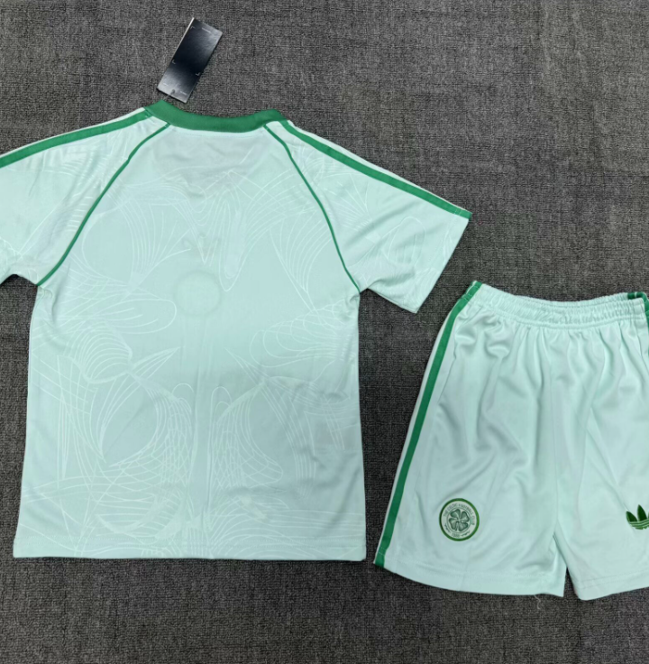 Celtic Ireland