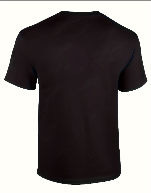 Sláinte Irish Gaelic T-Shirt Sláinte Irish Gaelic T-Shirt