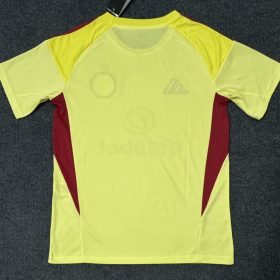 Celtic 2025-2026 Yellow Goalkeeper Jersey