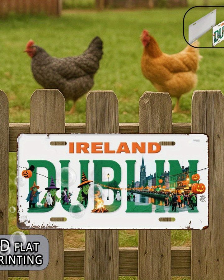 Vintage 2D Dublin Ireland Metal Sign – Retro Halloween Decor