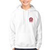 Derry Kids GAA Hoodie – Official County Crest