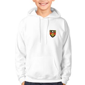 Down Kids GAA Hoodie – Official County Crest