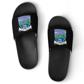 Fermanagh GAA Sliders