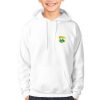 Kerry Kids GAA Hoodie – Official County Crest