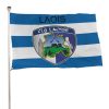 Laois GAA Flag – County Colours and Crest