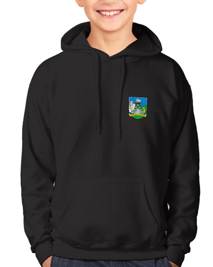 Limerick Kids GAA Hoodie