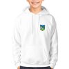 Limerick Kids GAA Hoodie – Official County Crest