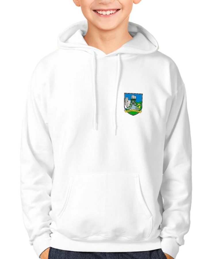 Limerick Kids GAA Hoodie – Official County Crest