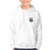 Longford Kids GAA Hoodie – Official County Crest