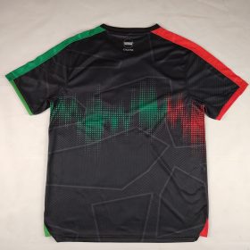 Palestine 2025-2026 Short Sleeve Arabic Jersey Palestine 2025-2026 Short Sleeve Arabic Jersey