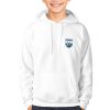 Waterford Kids GAA Hoodie – Official County Crest
