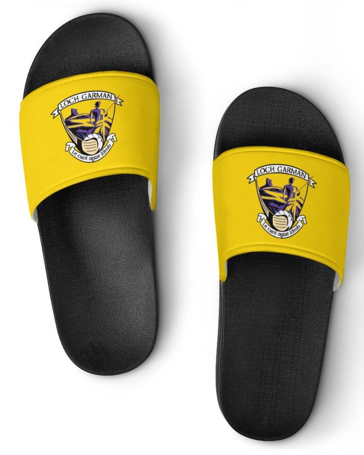 Wexford GAA Sliders