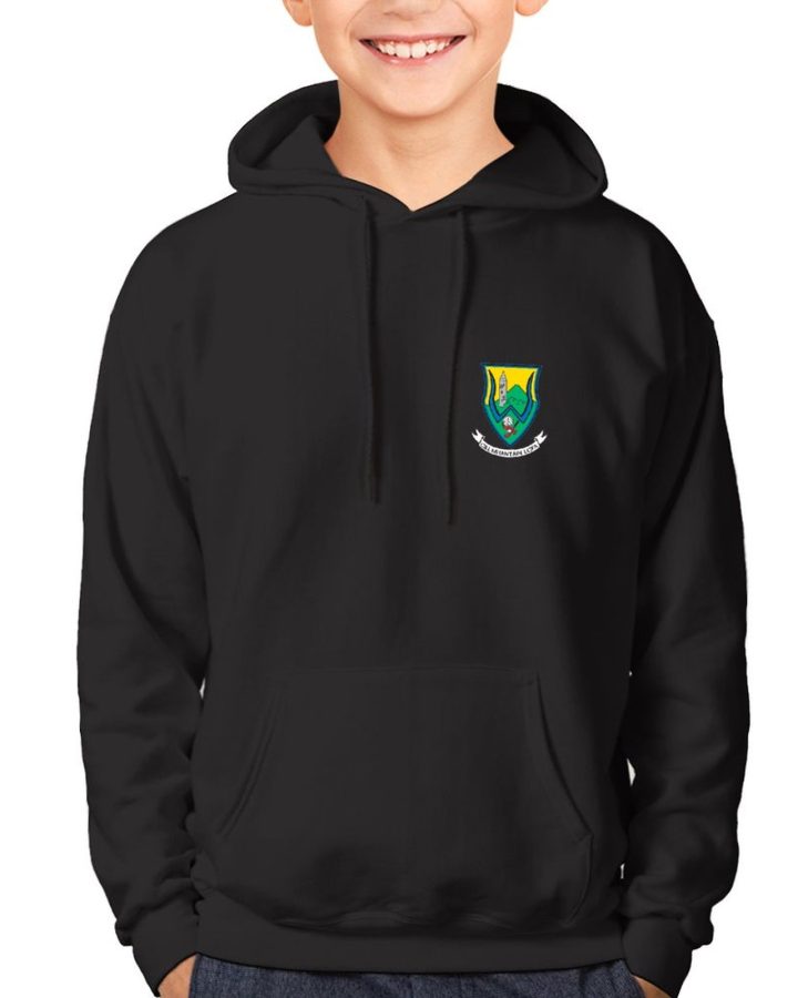 Wicklow Kids GAA Hoodie