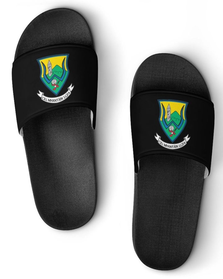 Wicklow GAA Sliders