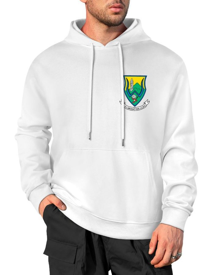 Wicklow GAA Adults Hoodie with County Crest