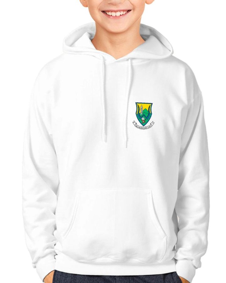 Wicklow Kids GAA Hoodie – Official County Crest