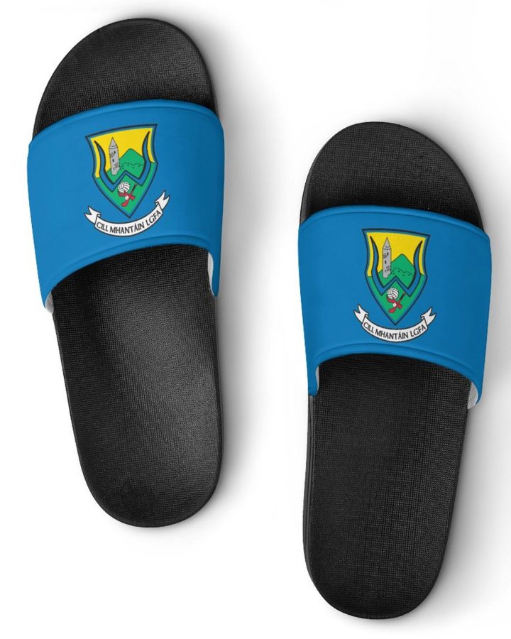 Wicklow GAA Sliders – Adult Sandals Wicklow GAA Sliders