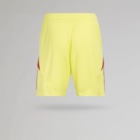 Celtic 2025-26 Yellow GK shorts