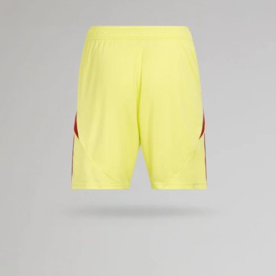 Celtic 2025-26 Yellow GK shorts