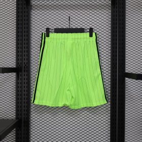 Celtic 25-26 Green Icon Short