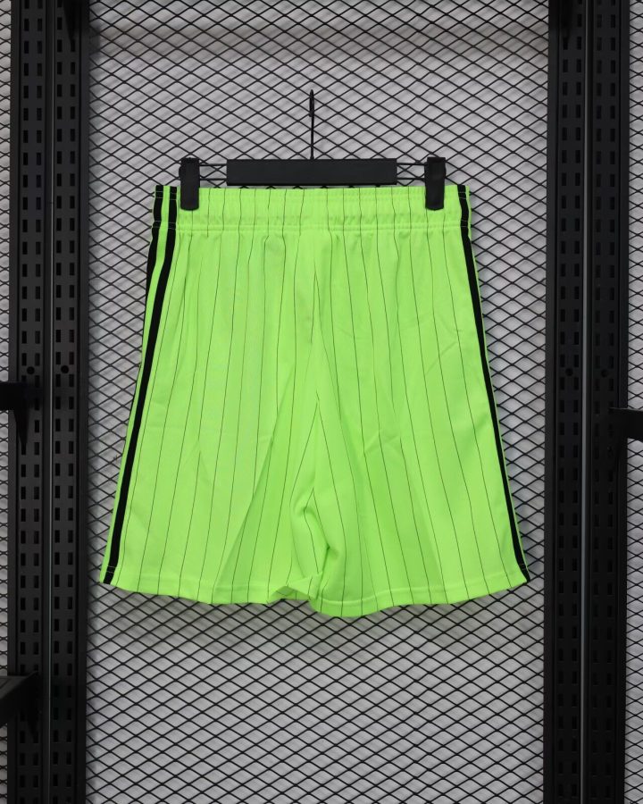 Celtic 25-26 Green Icon Short