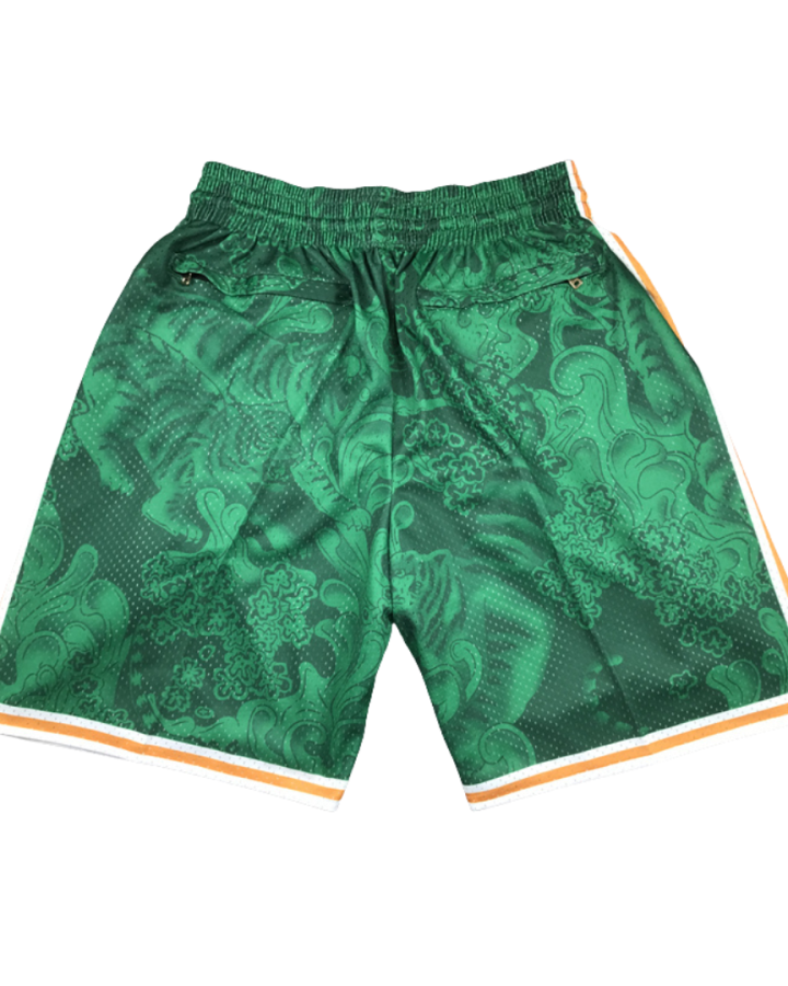 Boston Celtics Mesh Fabric 2023-24 Green Shorts (1)