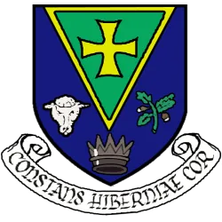 Famous Roscommon Matches That Irish Supporters Still Talk About