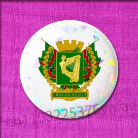 Irish Heritage Flag Pin Badge Back of pin badge showing brooch fastening