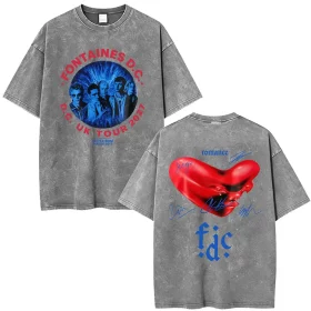 Fontaines D.C. Dopamine Chamber Washed T-Shirt
